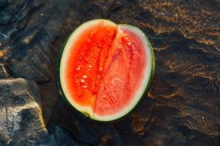 虎山吃瓜  第3张